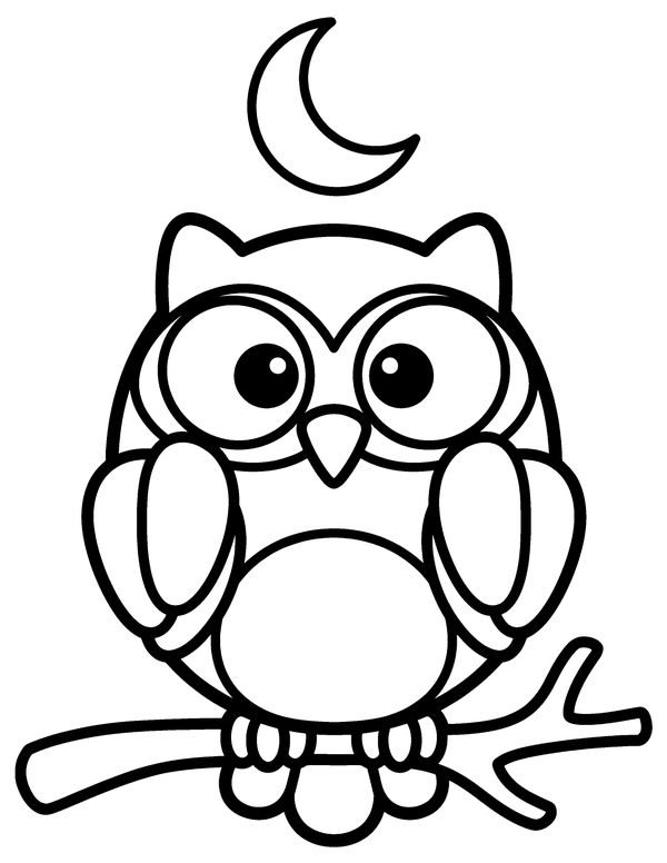 Easy Owl on a Branch free printable Halloween coloring page